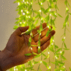 Artificial Leaf 3x1m 180 LED's Warm White Fairy Lights