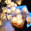 3m 14 LED's Roes Flower Warm White